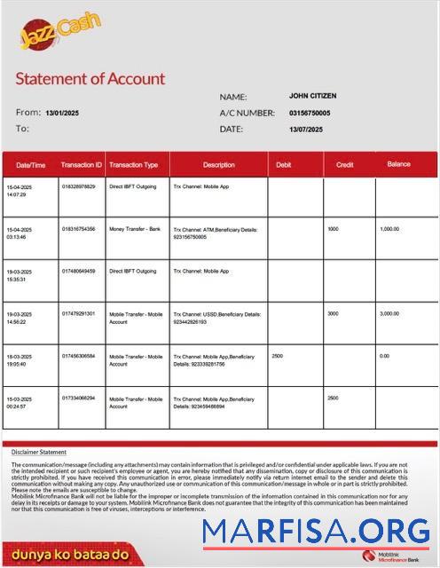 Downloadable Pakistan Mobilink Microfinance bank statement word version 2 real example